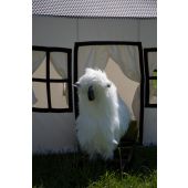 Mouton A Bascule - Bois Teck - Blanc Noir