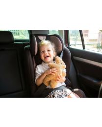 Sicherheitsgurt Teddy braun