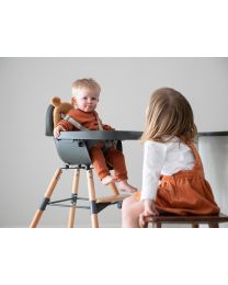 Tray Evolu ABS anthracite