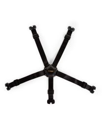 5-point harness black