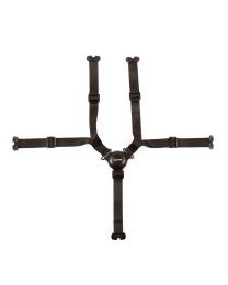 5-point harness Evolu/Evosit black