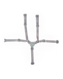 5-point harness Evolu/Evosit mint