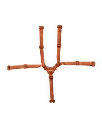 5-point harness Evolu/Evosit rust