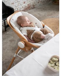 Evolu Newborn Seat Pour Evolu 2 + One.80° - Bois - Blanc Naturel