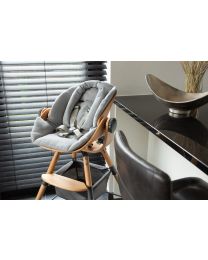 Evolu Newborn Seat For Evolu 2 + One.80° - Wood - Natural Anthracite