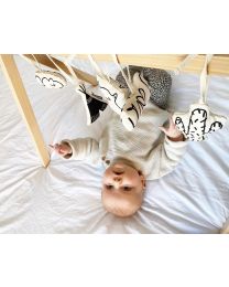 Baby Gym Figuurtjes - Canvas - Set Van 5