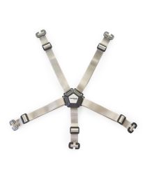 5-point harness anthracite